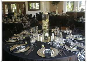  Party  decor  hire quality items discount prices cresta 