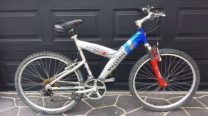 lightest 29er tires